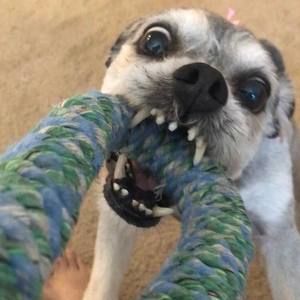 Meet your Posher, Wayne